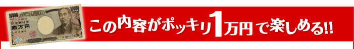 この内容がポッキリ１万円で楽しめる!!