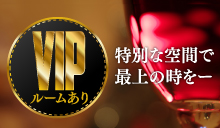 VIP 一流の女性とおもてなしを